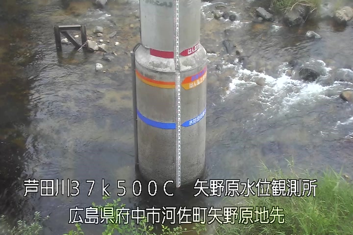 08月07日11時00分