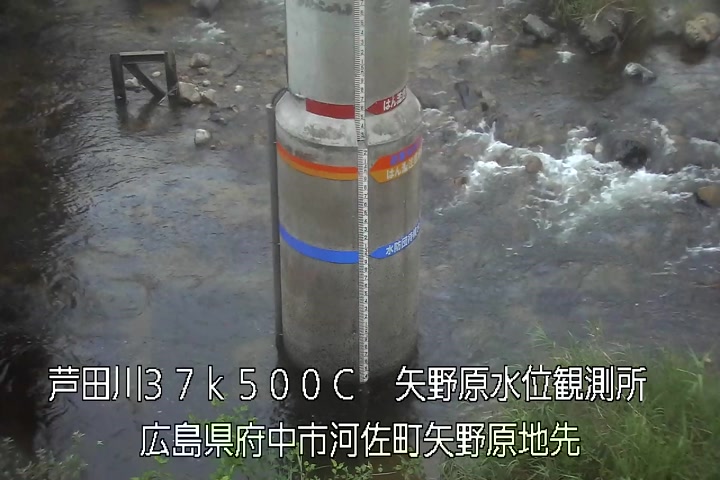 08月07日19時00分