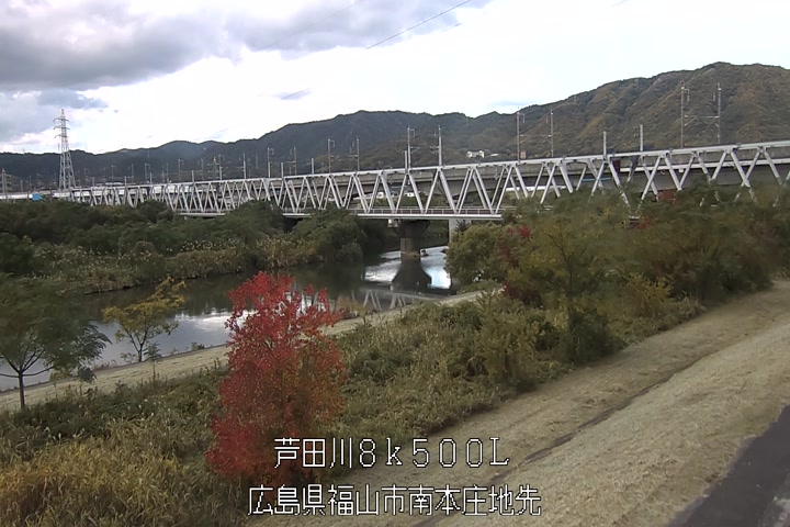 11月19日11時00分