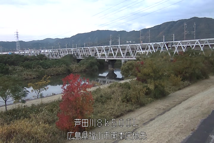 11月19日17時00分