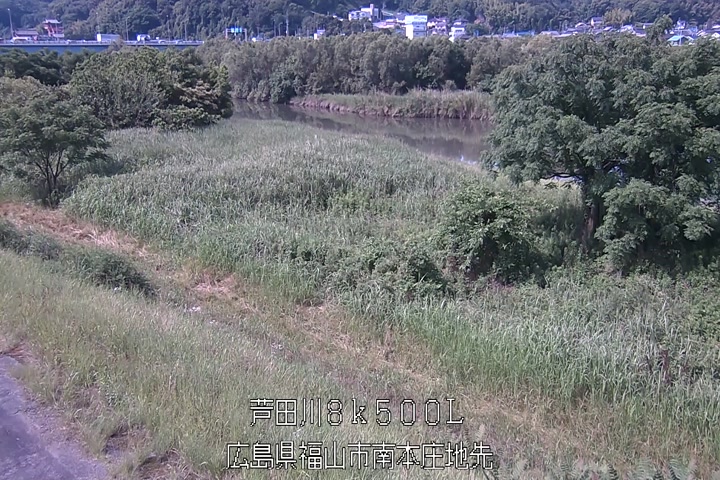 06月11日09時00分