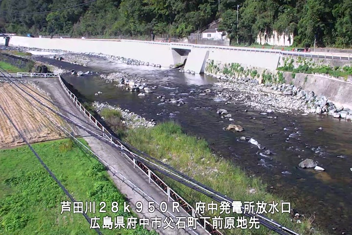 10月15日10時00分
