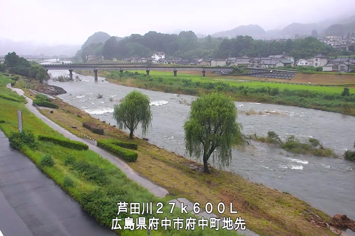 07月05日11時00分