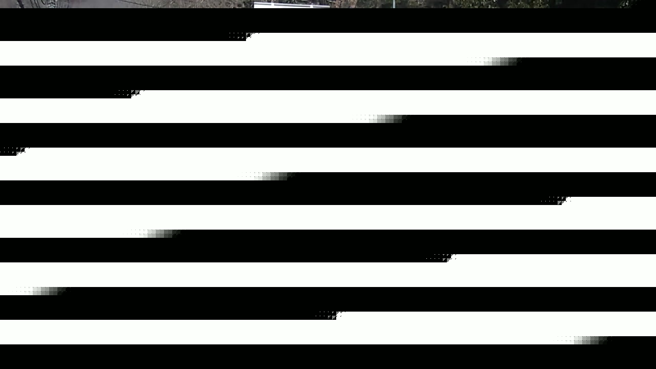 2026年01月19日10時