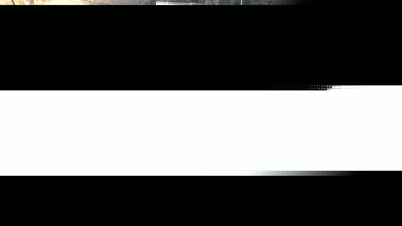 2026年01月29日08時