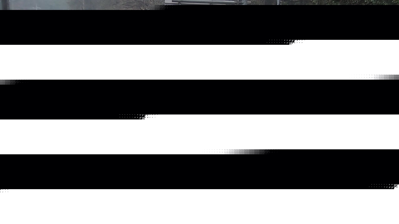 2026年03月25日11時