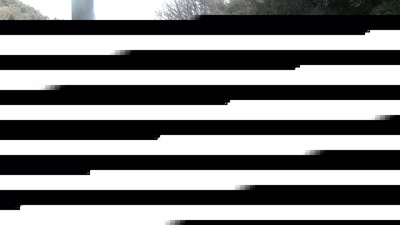 2026年03月31日09時