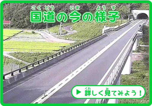 国道9号(山陰道)、国道19号の今のようす