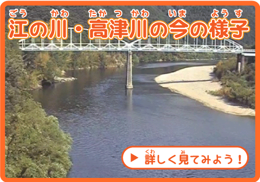 江の川高津川の今のようす