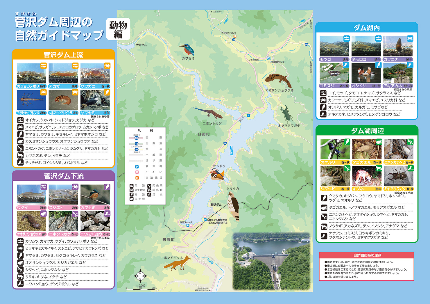 菅沢ダム周辺の自然ガイドマップ〜動物編