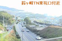 郖TNRt