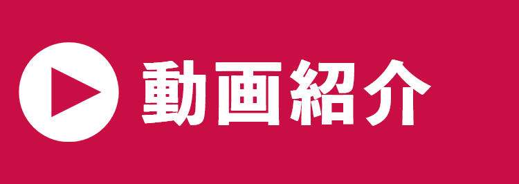 動画紹介