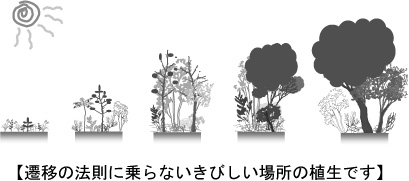 遷移の図