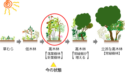 遷移の図