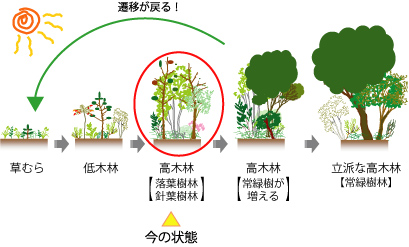 遷移の図