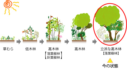 遷移の図