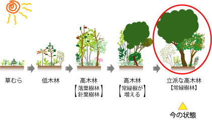 遷移の図