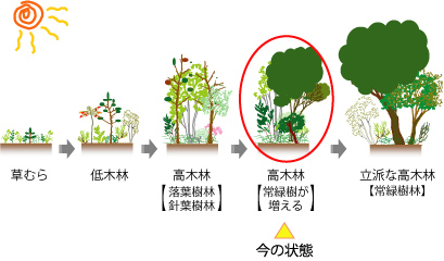 遷移の図