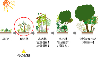 遷移の図