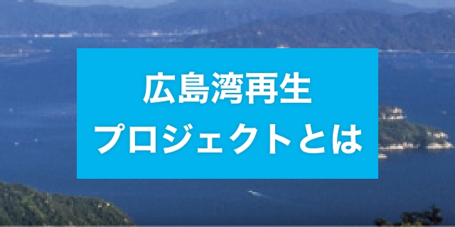 広島湾とは