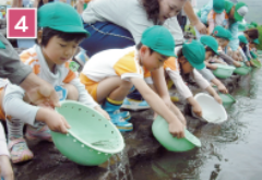 魚介類の放流
