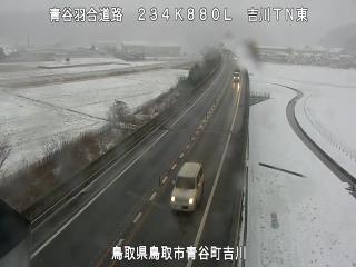 1月11日14時 の様子