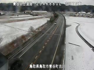 1月11日15時 の様子