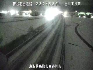 1月11日20時 の様子