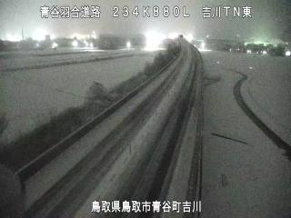 1月11日21時 の様子