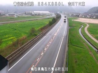 4月15日11時 の様子