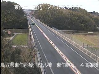 2月16日15時 の様子