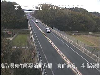 2月16日16時 の様子