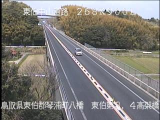 4月14日11時 の様子