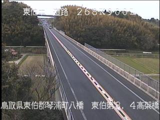 4月14日12時 の様子