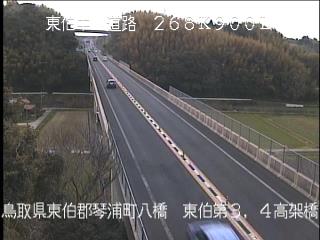 4月14日17時 の様子