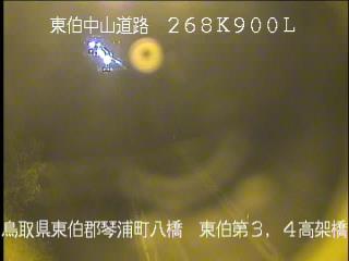 4月14日20時 の様子