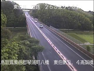 6月25日10時 の様子