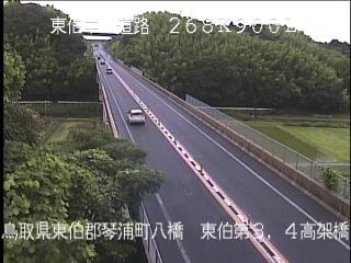 6月25日12時 の様子