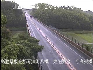 6月25日16時 の様子