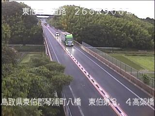 6月25日19時 の様子