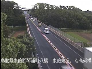 8月9日16時 の様子