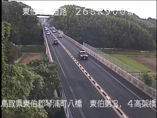 8月9日17時 の様子