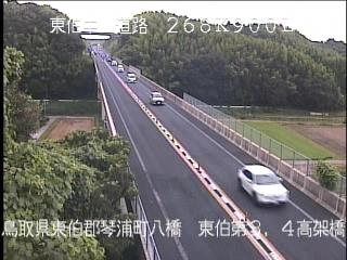 8月9日18時 の様子