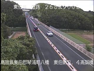 8月9日19時 の様子