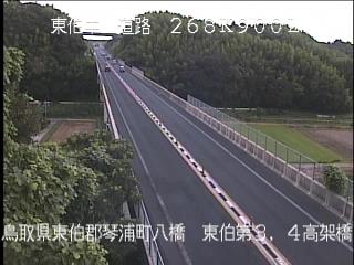 8月10日7時 の様子