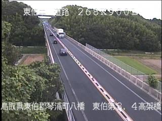 8月10日8時 の様子