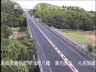 8月10日9時 の様子