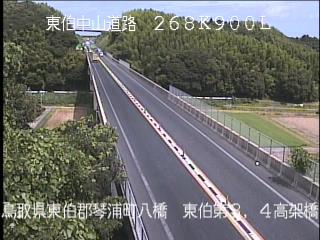 8月10日10時 の様子