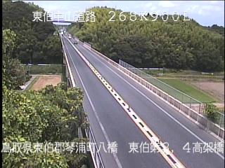 8月10日11時 の様子