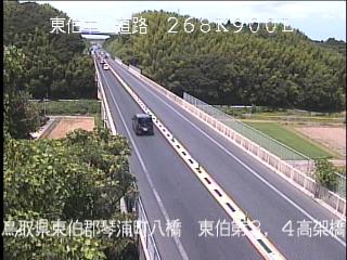 8月10日12時 の様子